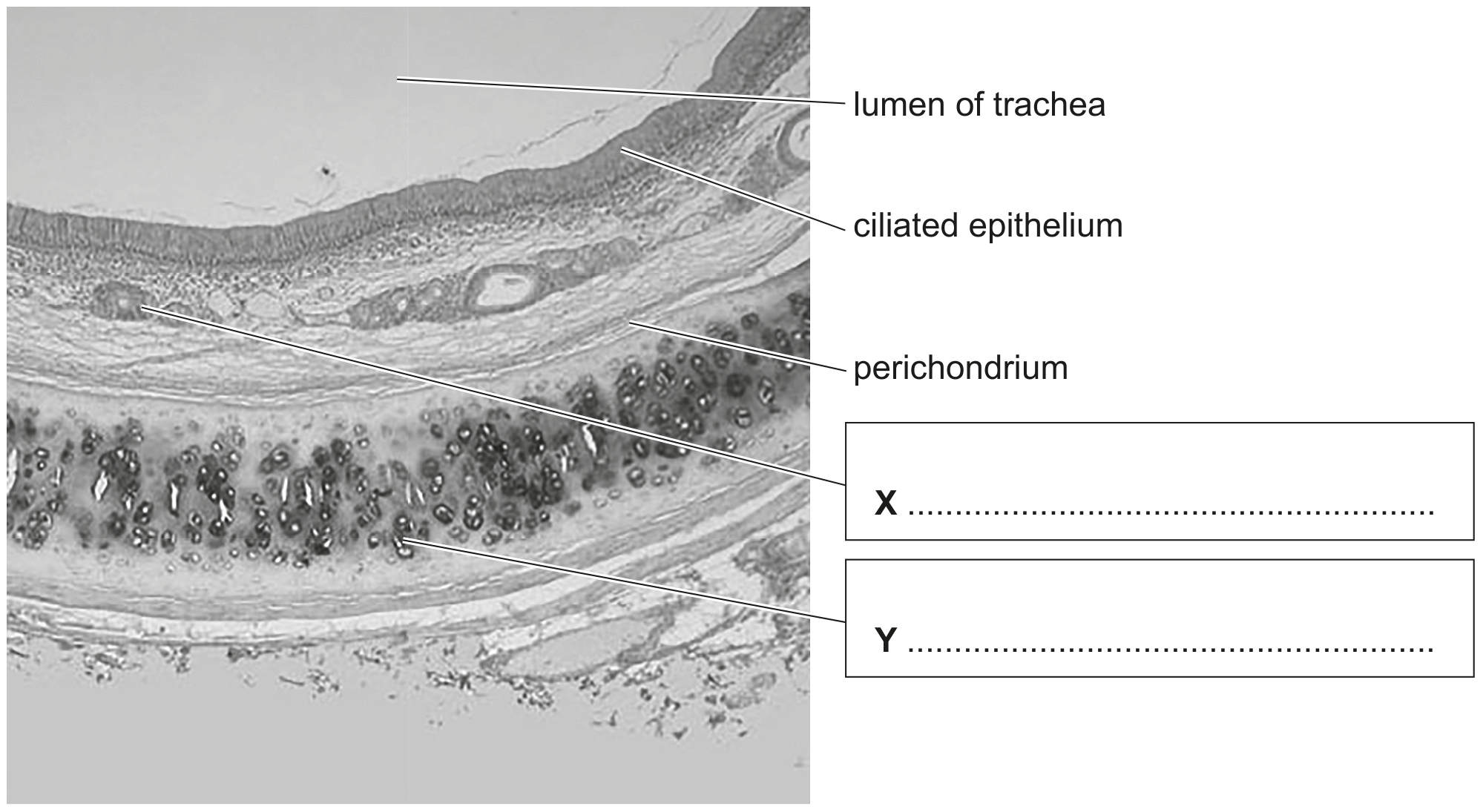 Fig. 1.1