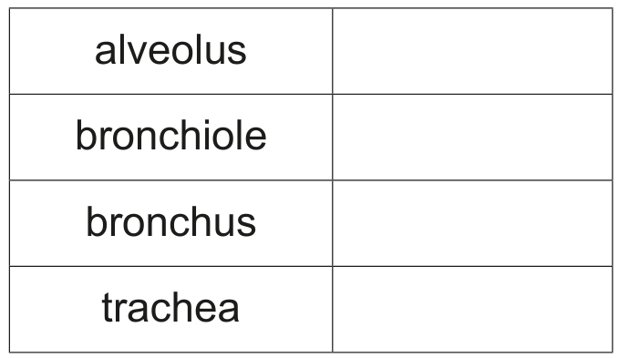 Table 1.1