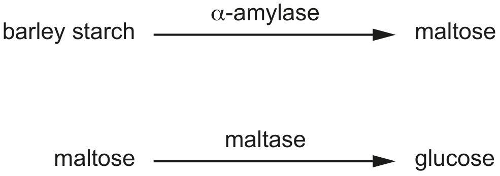 Fig. 2.2
