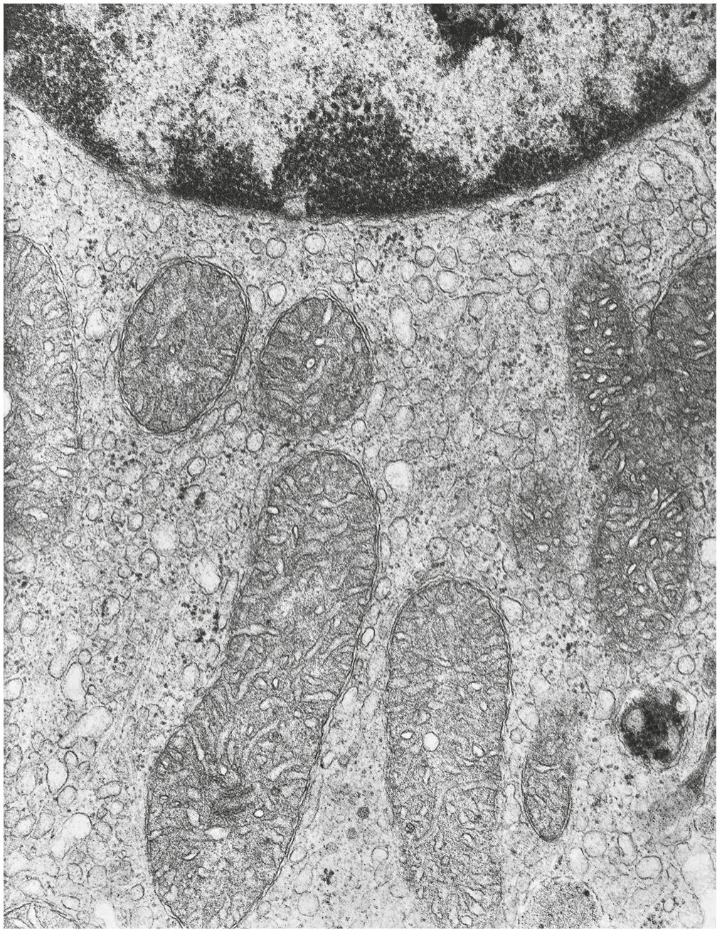 Fig. 3.1