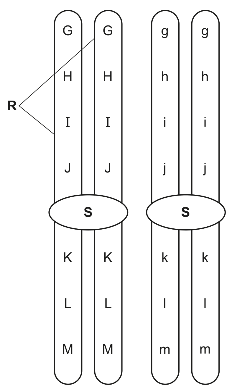 Fig. 7.1