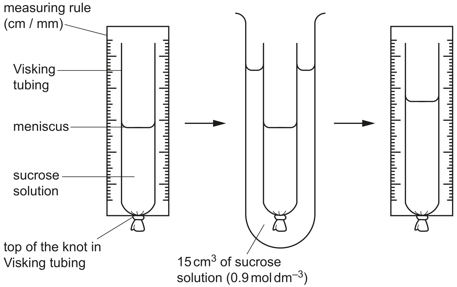 Fig. 3.1