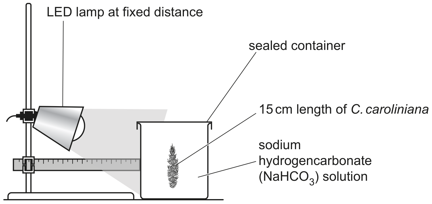 Fig. 1.1 shows the experimental set-up for this investigation.