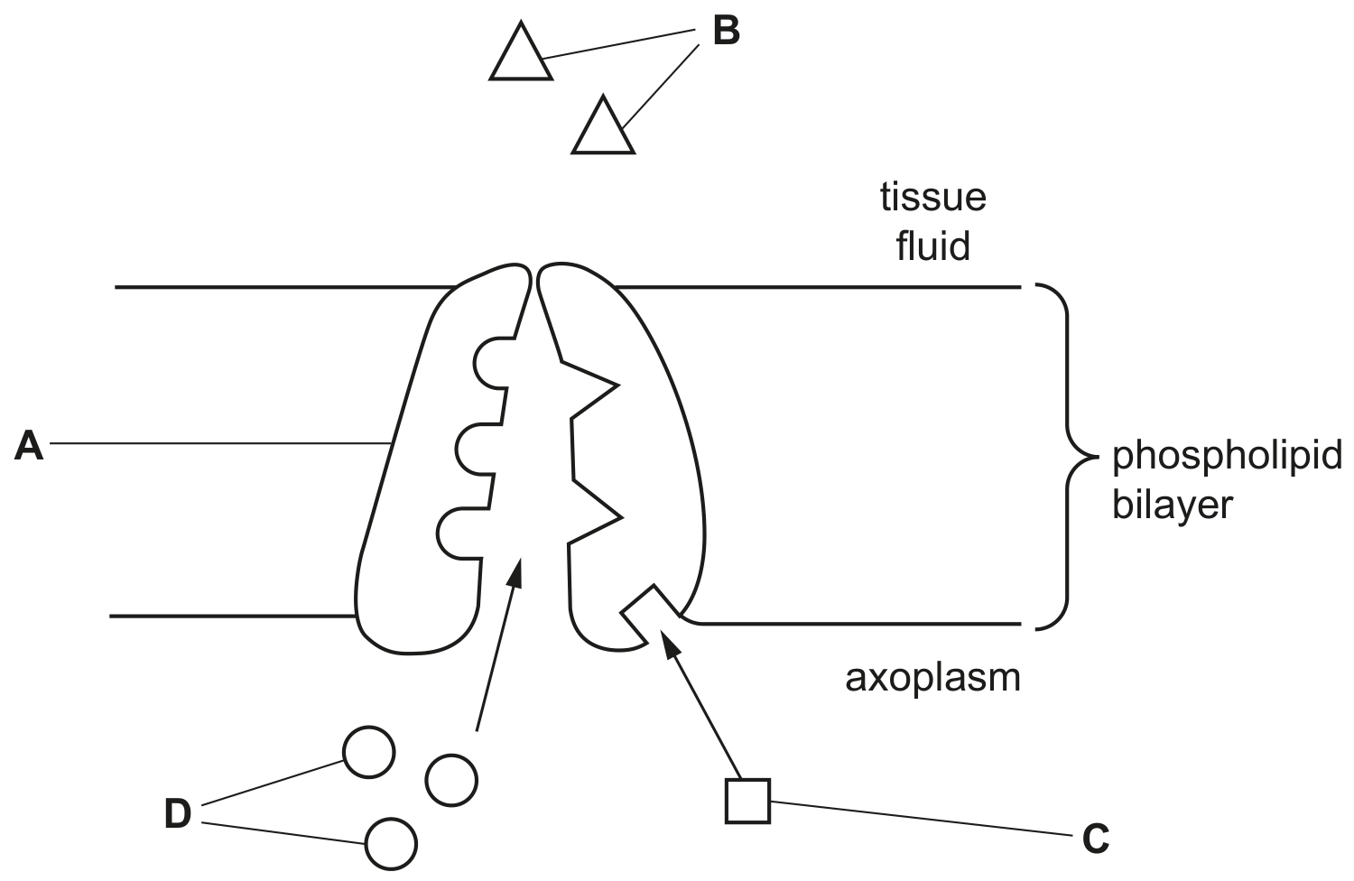 Fig. 1.1