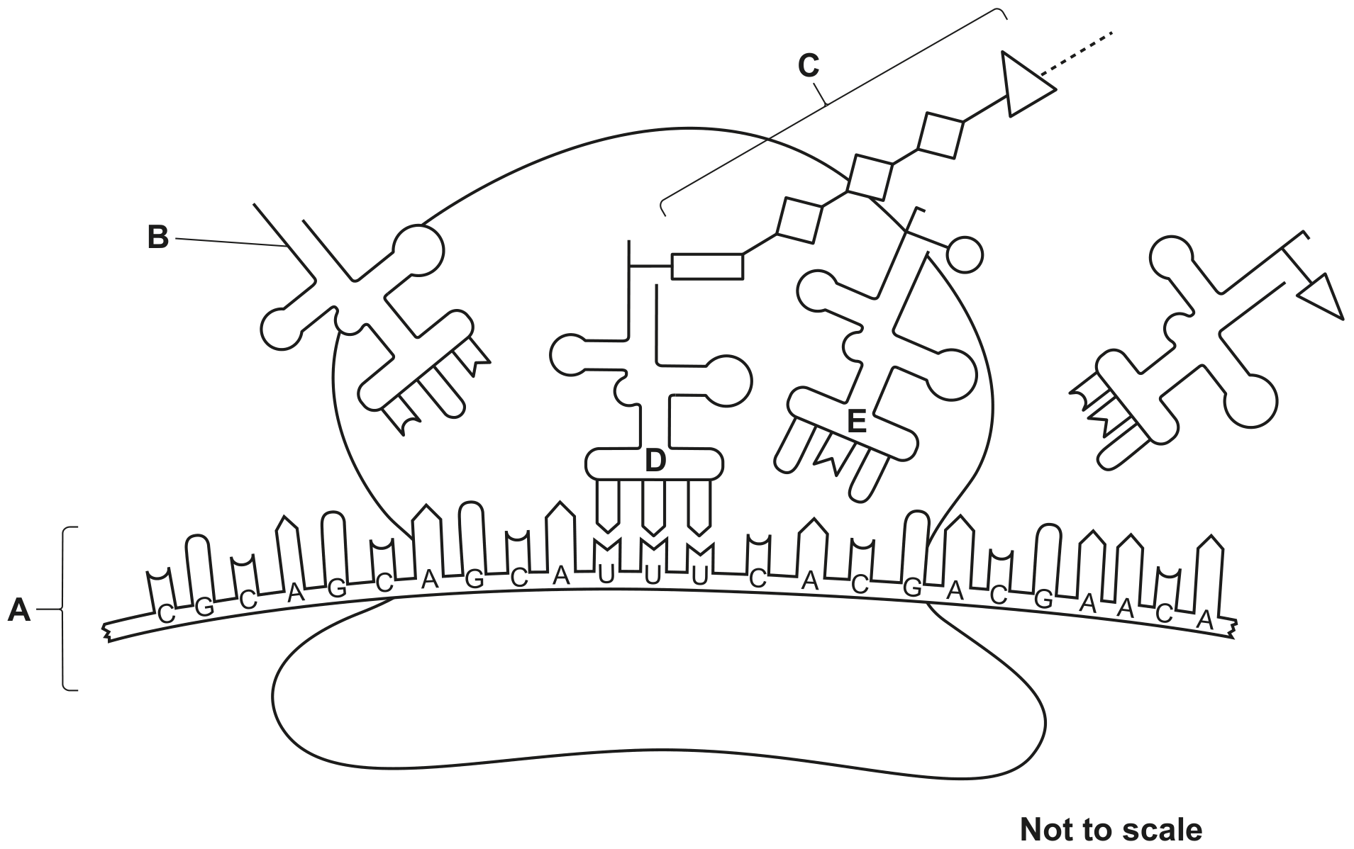 Fig. 1.1