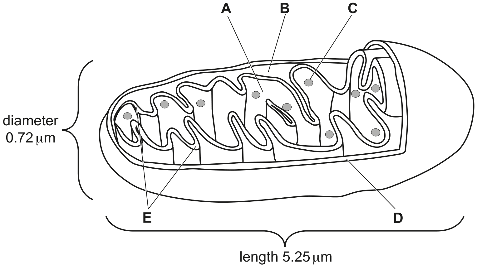 Fig. 6.1
