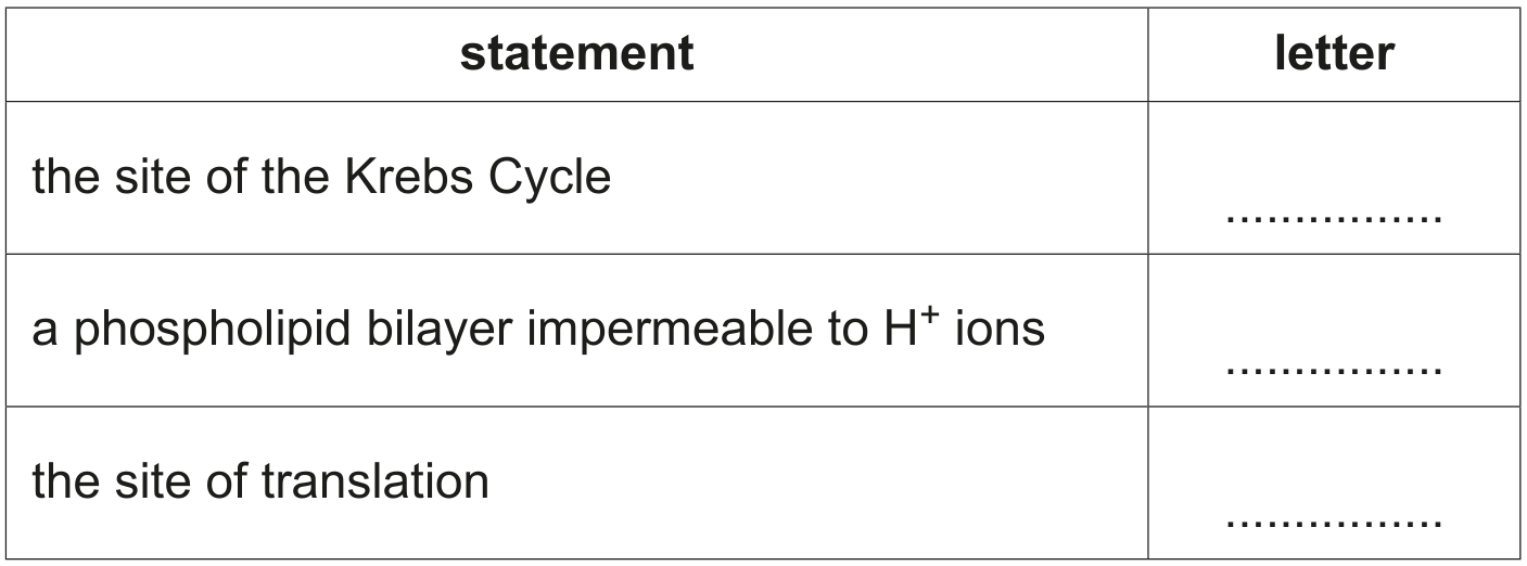 Table 6.1