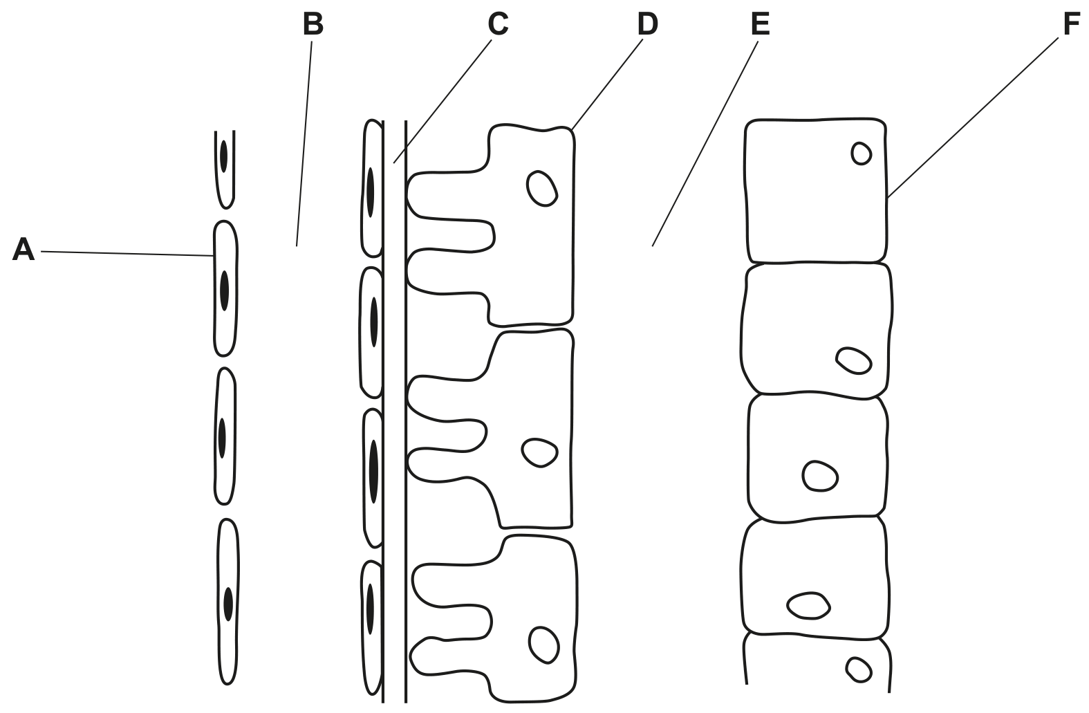 Fig. 1.1