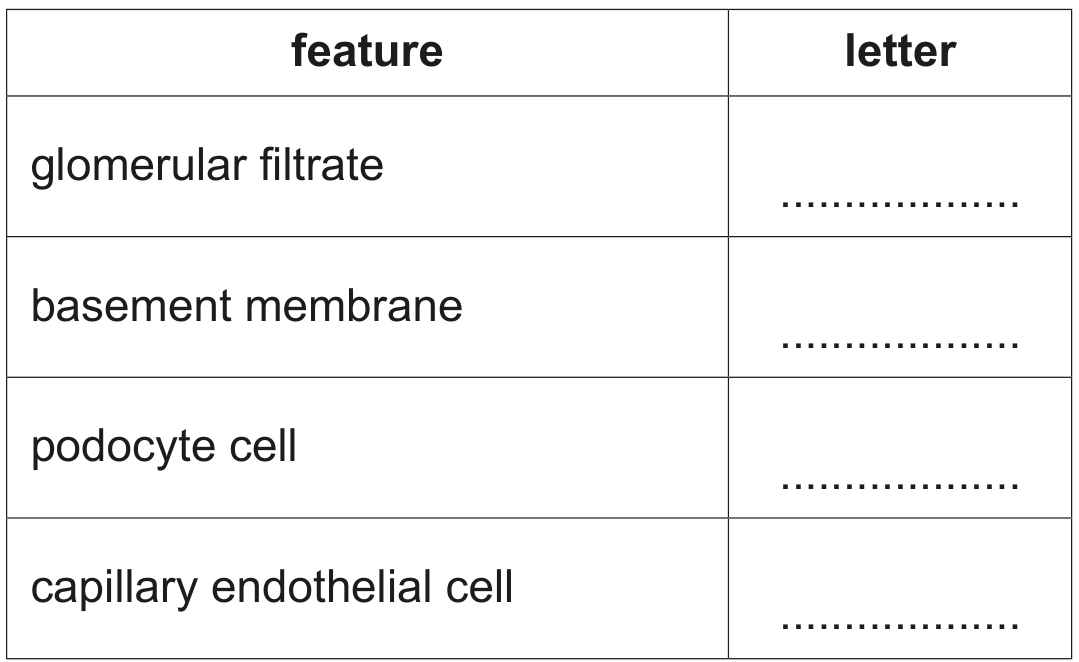 Table 1.1
