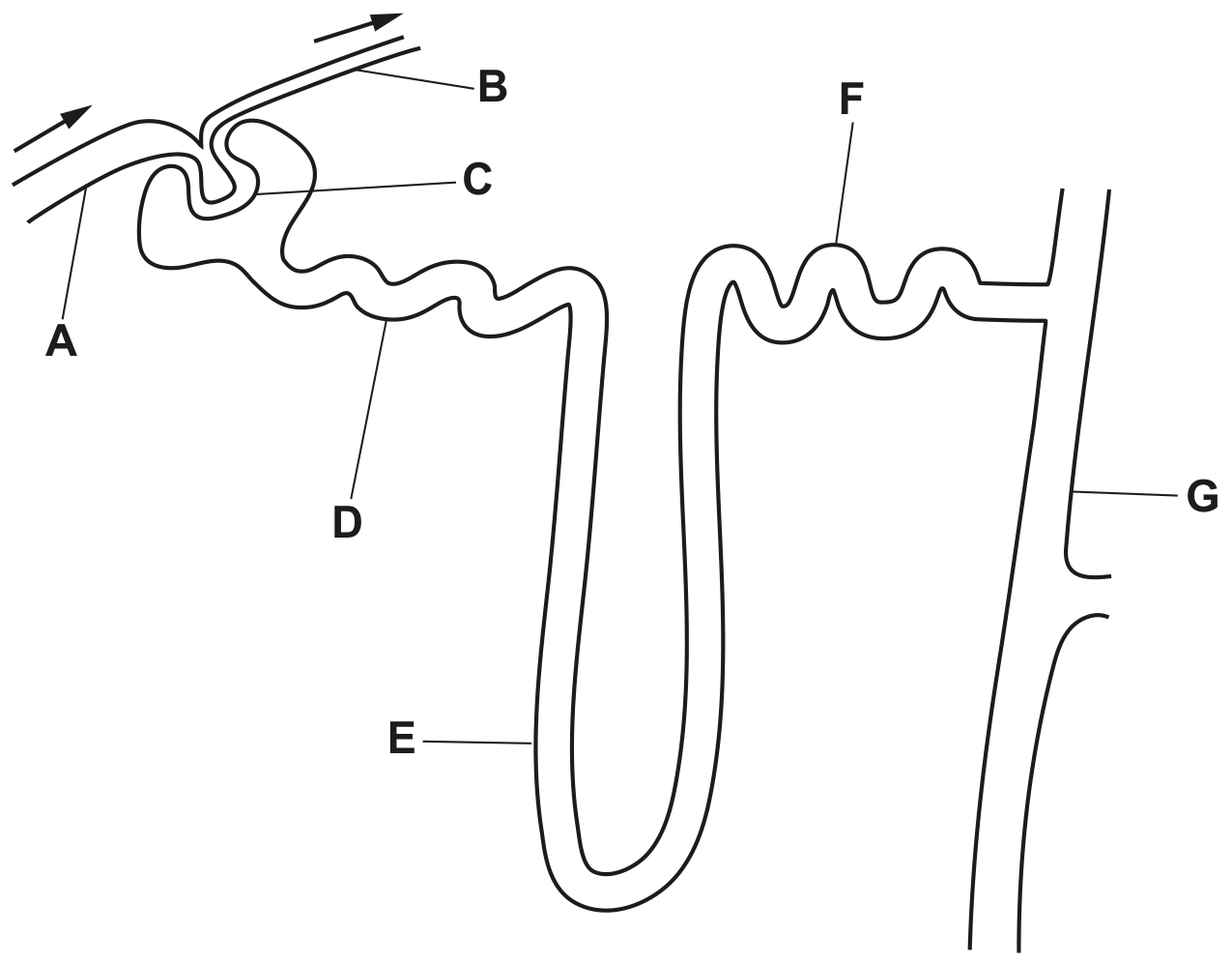 Fig. 1.1