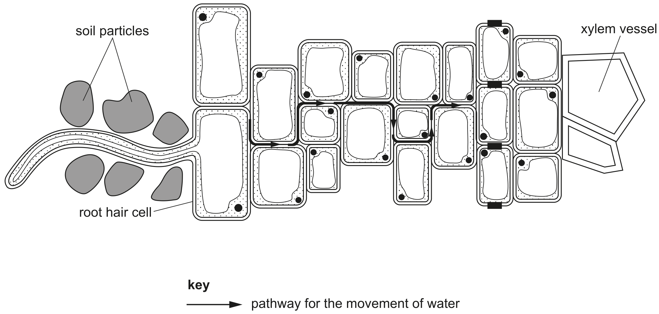 Fig. 1.1