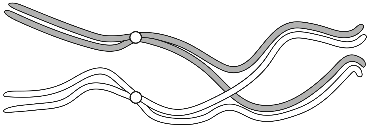 Fig. 4.1