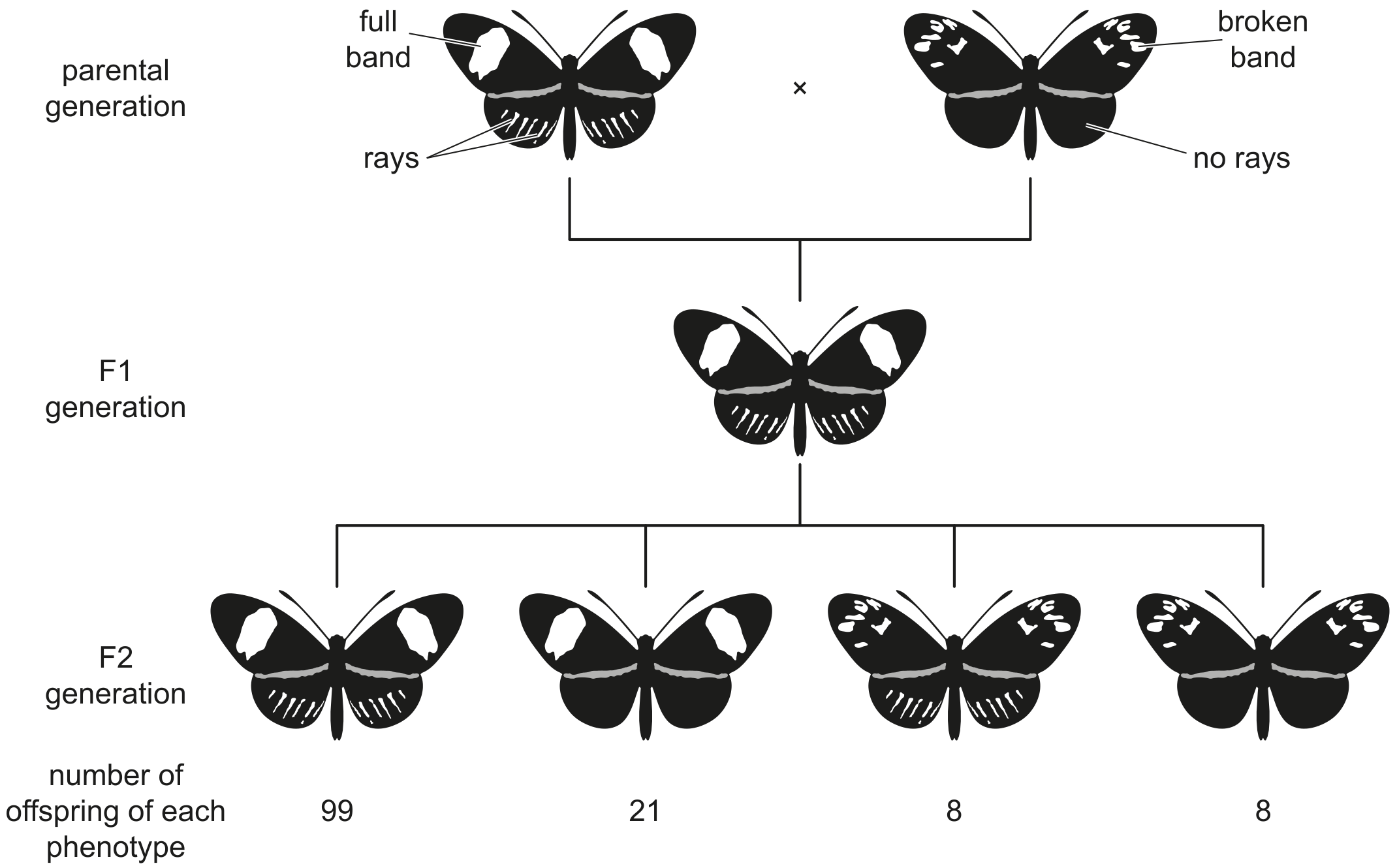 Fig. 4.2
