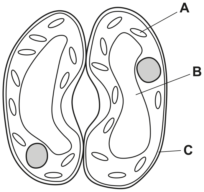 Fig. 10.1