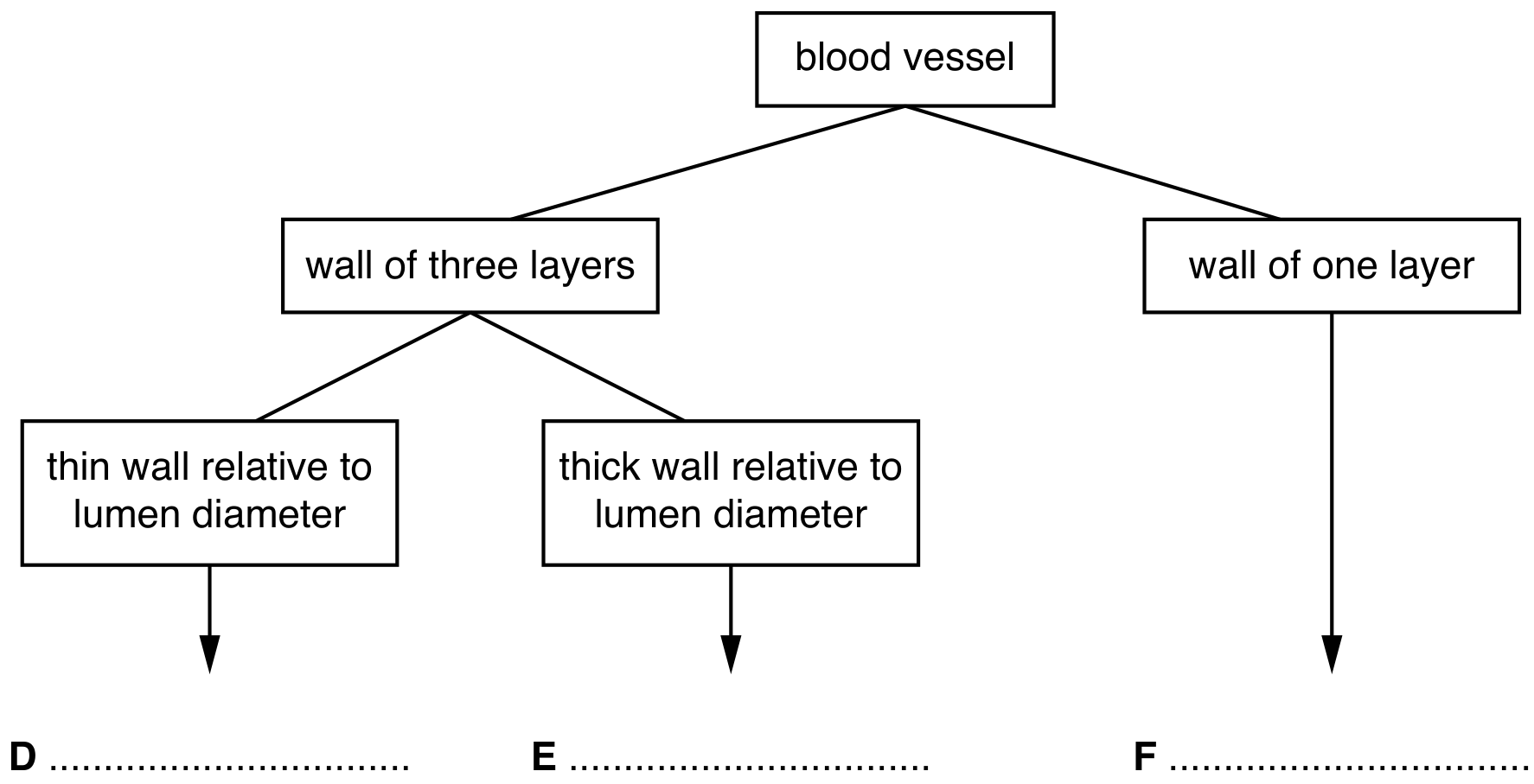 Fig. 5.1