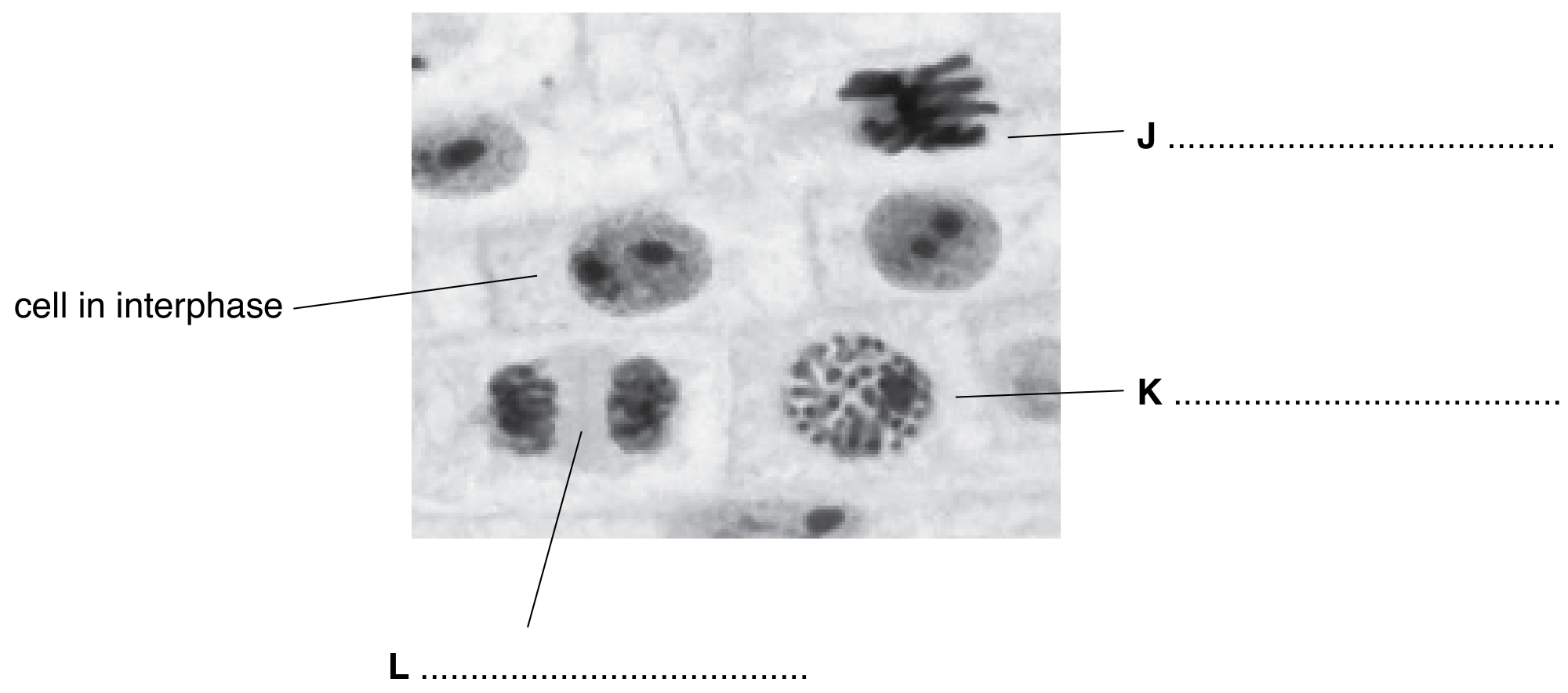 Fig. 6.2