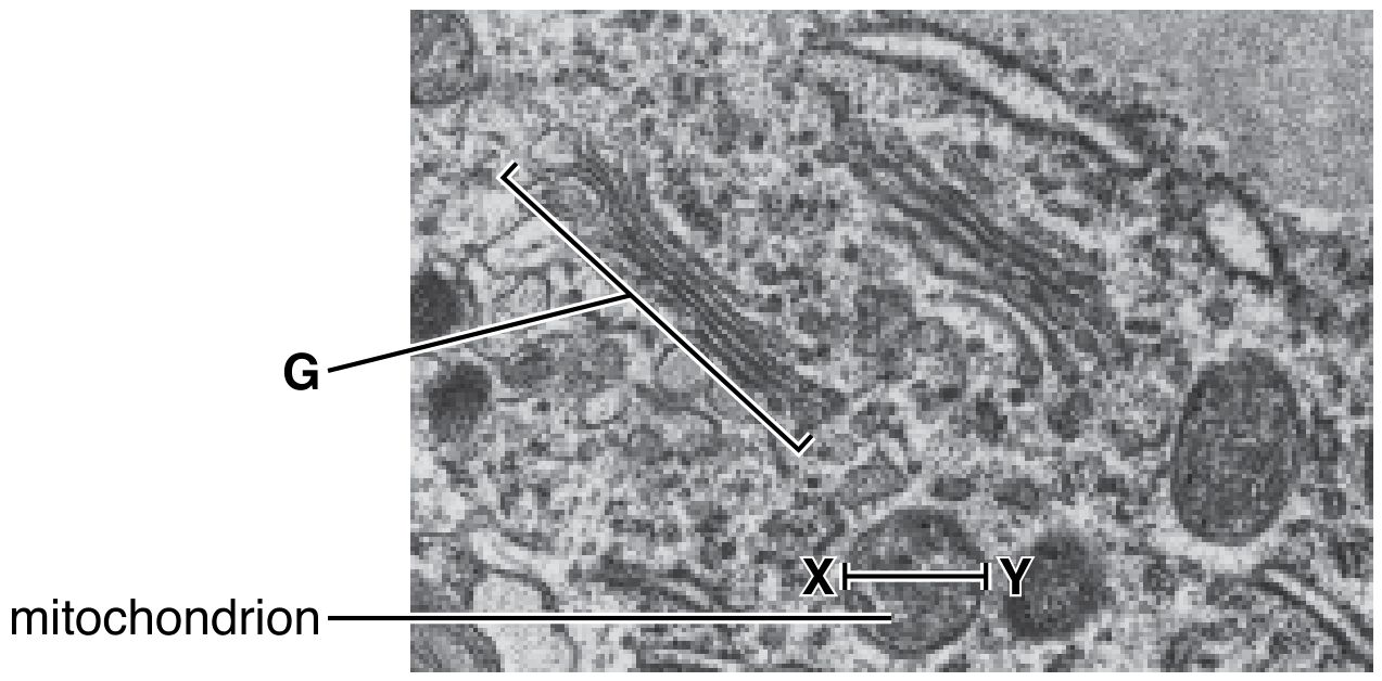 Fig. 1.1