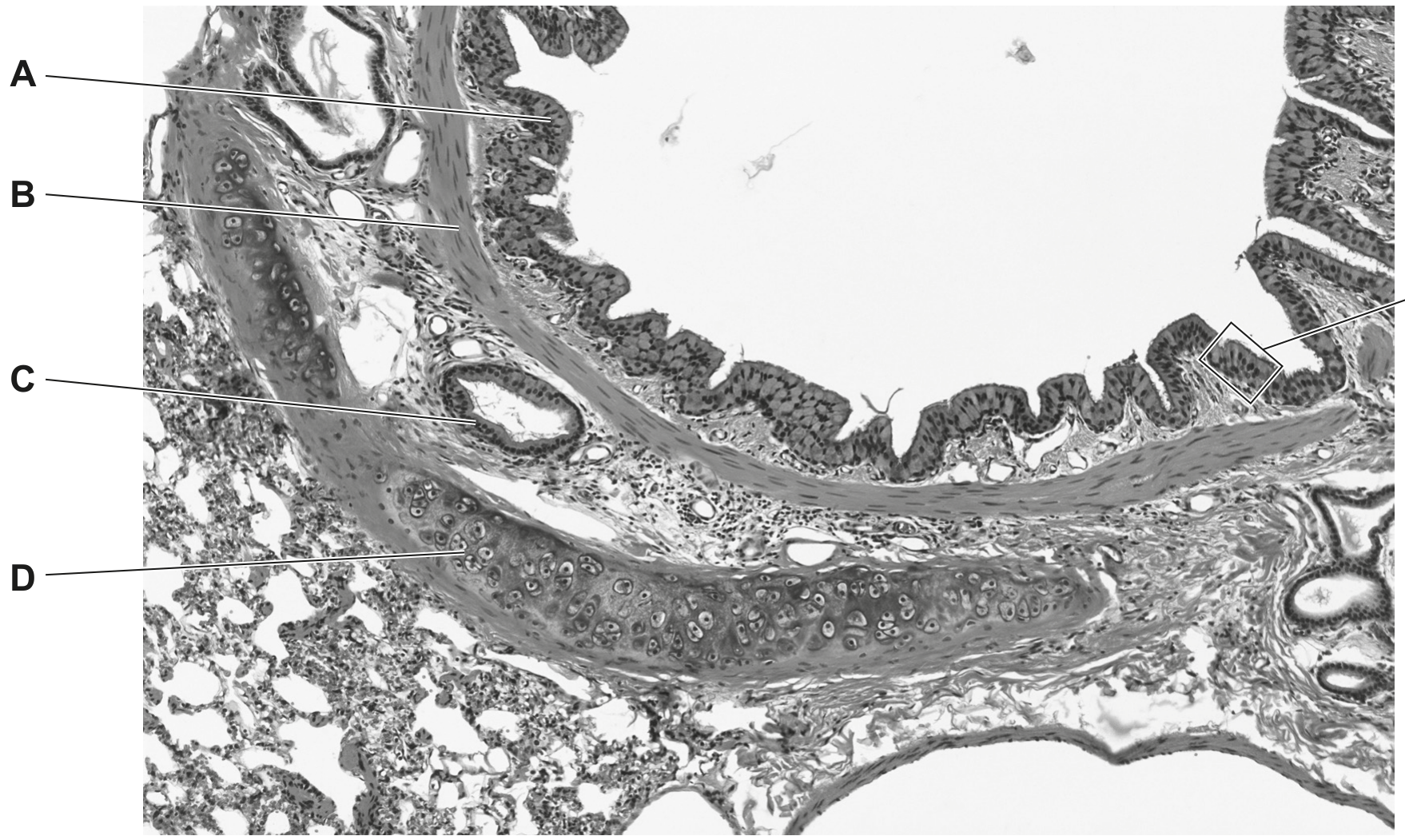 Fig. 1.1