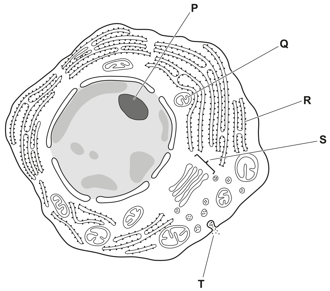 Fig. 2.1