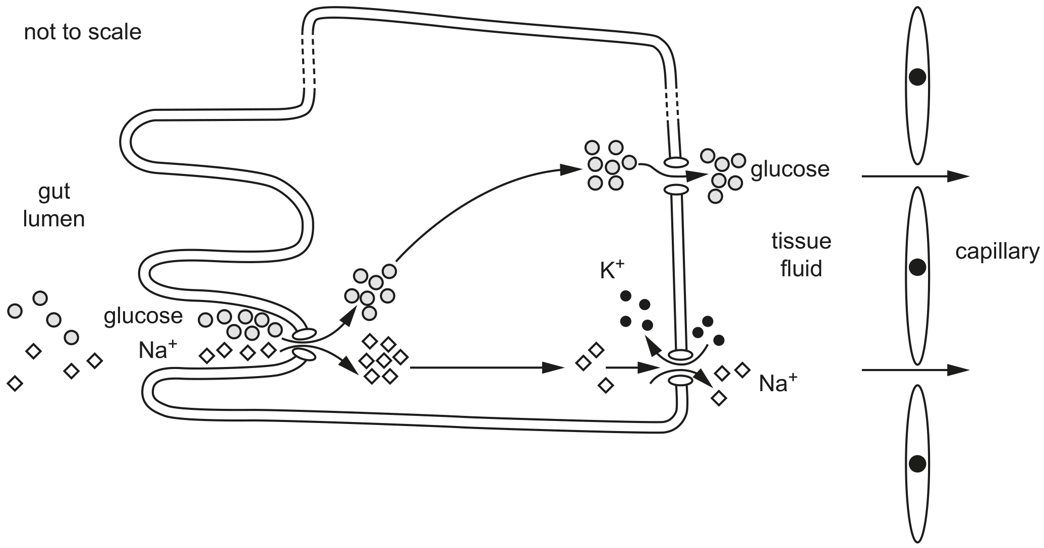 Fig. 1.2