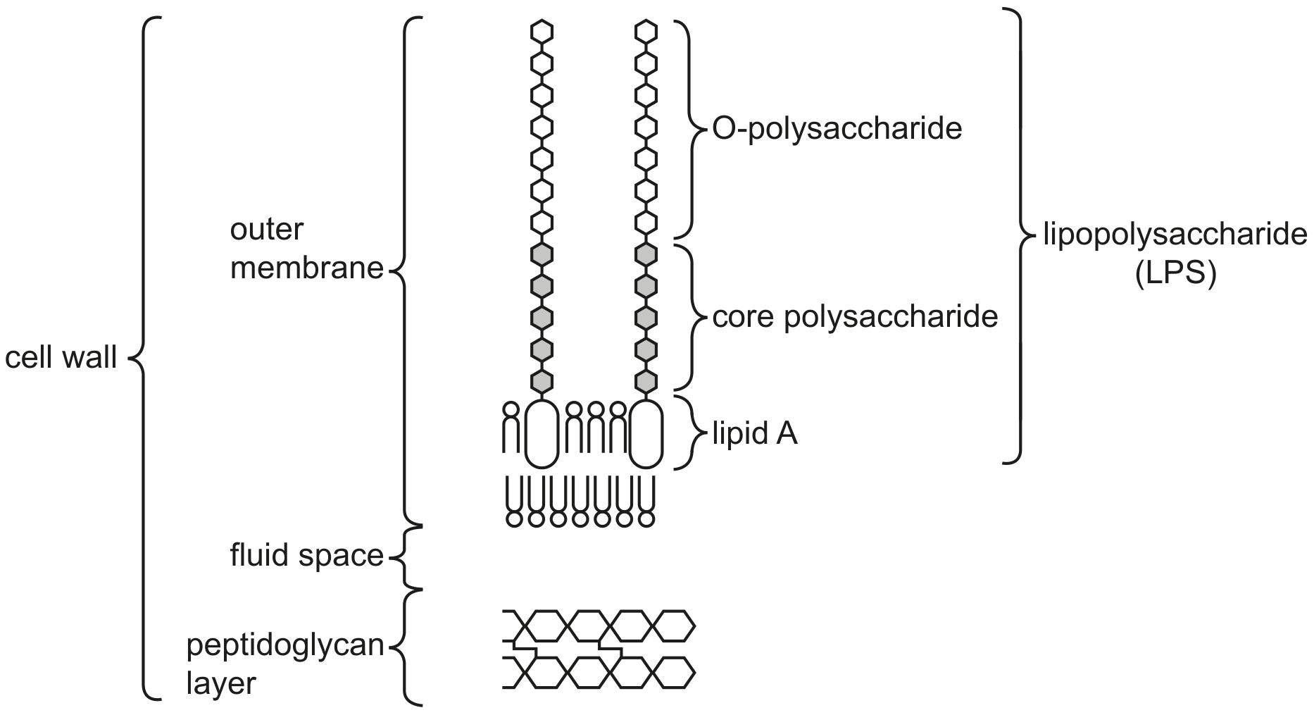Fig. 4.3