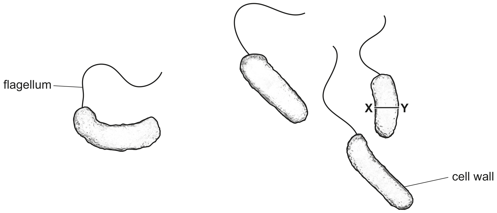 Fig. 4.1