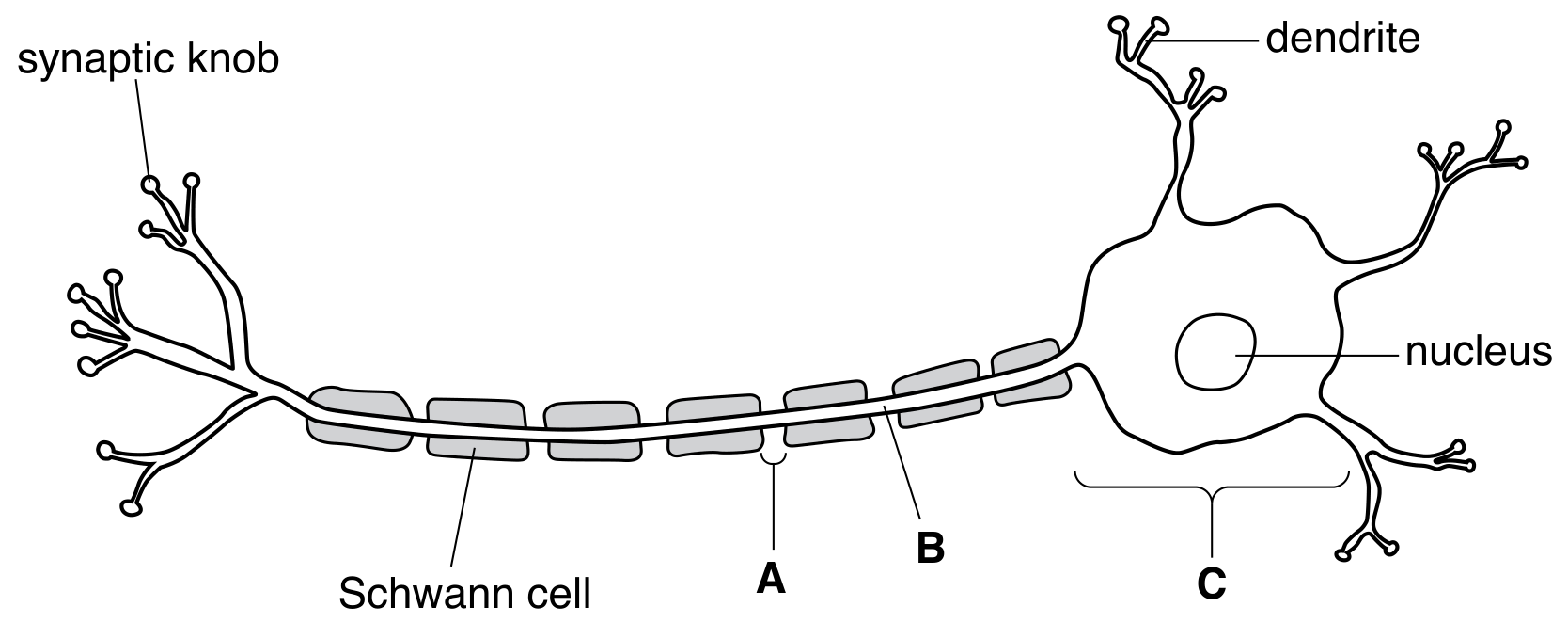 Fig. 2.1