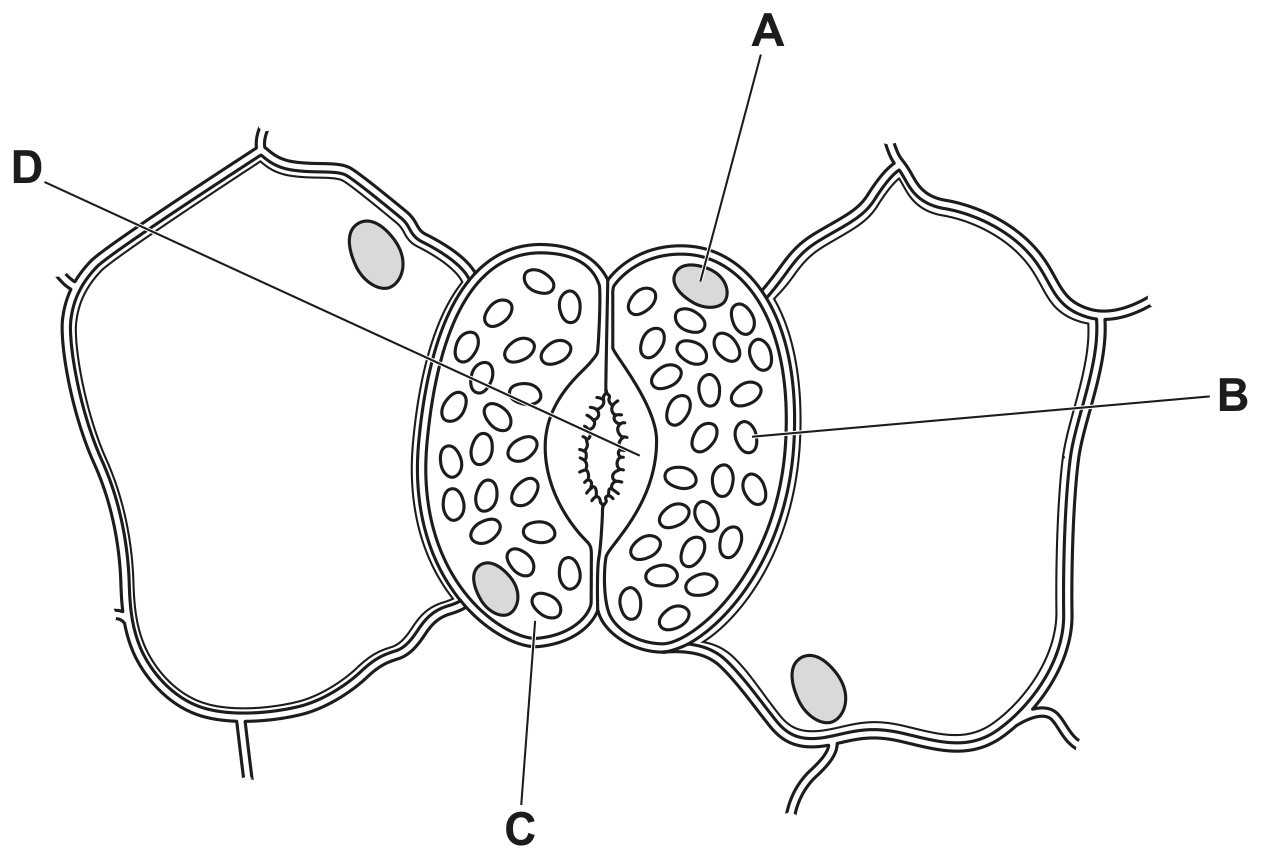 Fig. 9.1