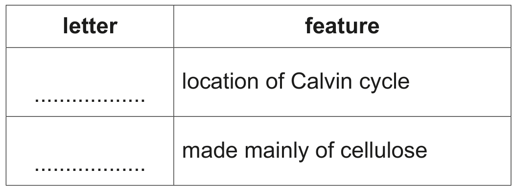 Table 9.1