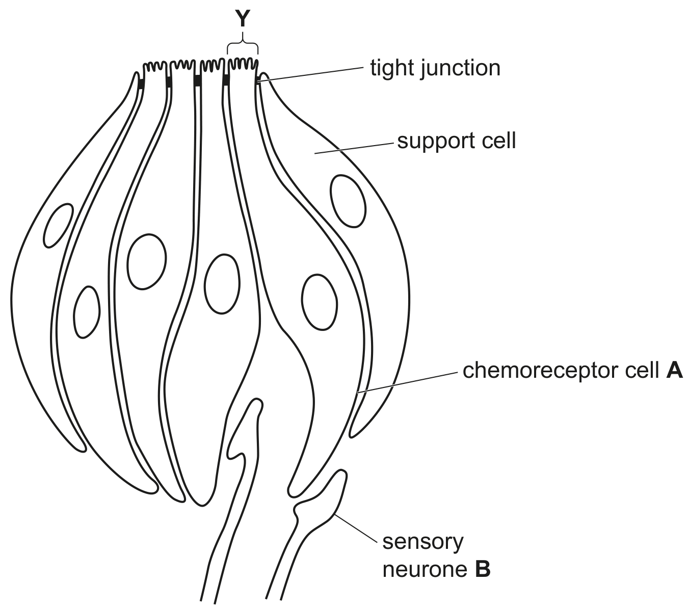 Fig. 8.1