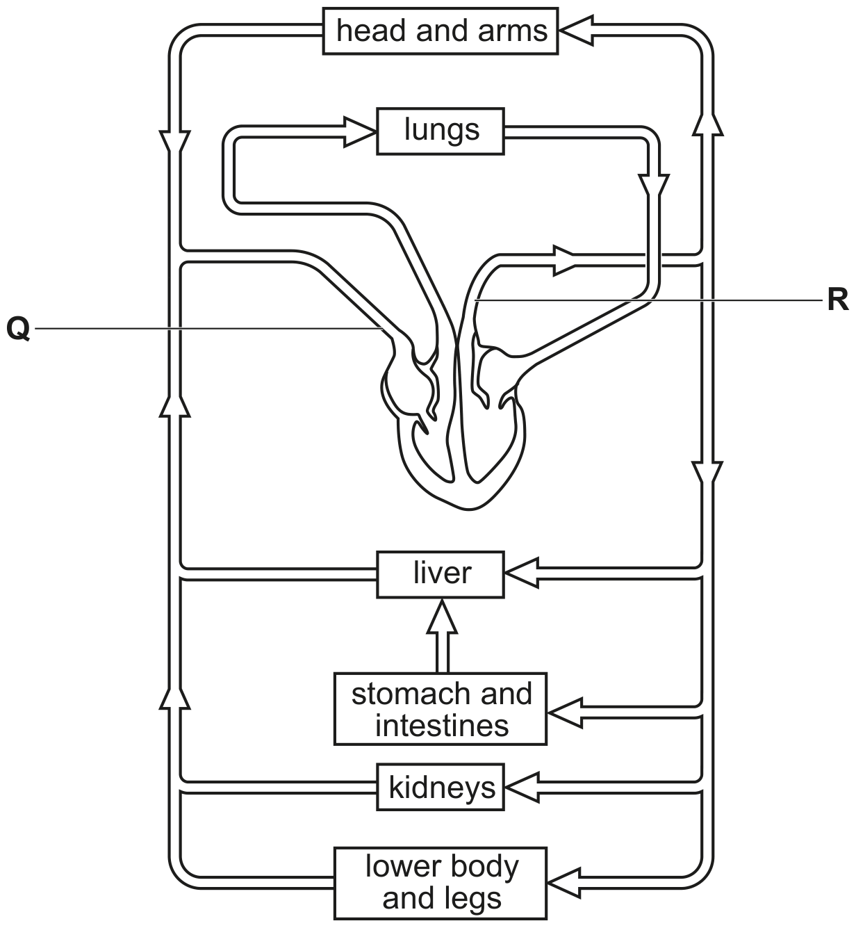 Fig. 2.1