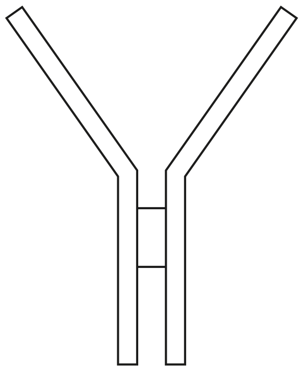 Fig. 2.2