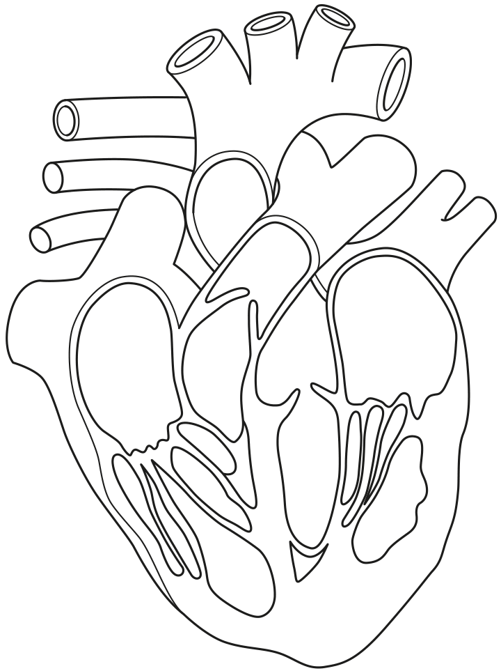 Fig. 1.1