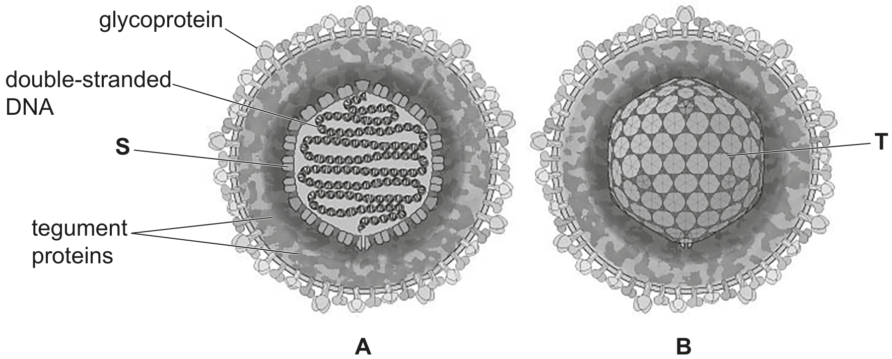 Fig. 2.1