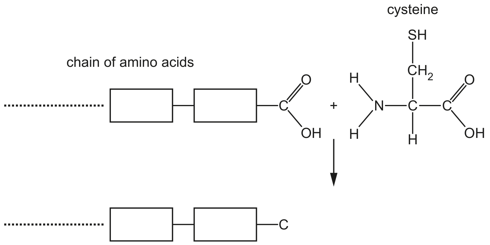 Fig. 1.1
