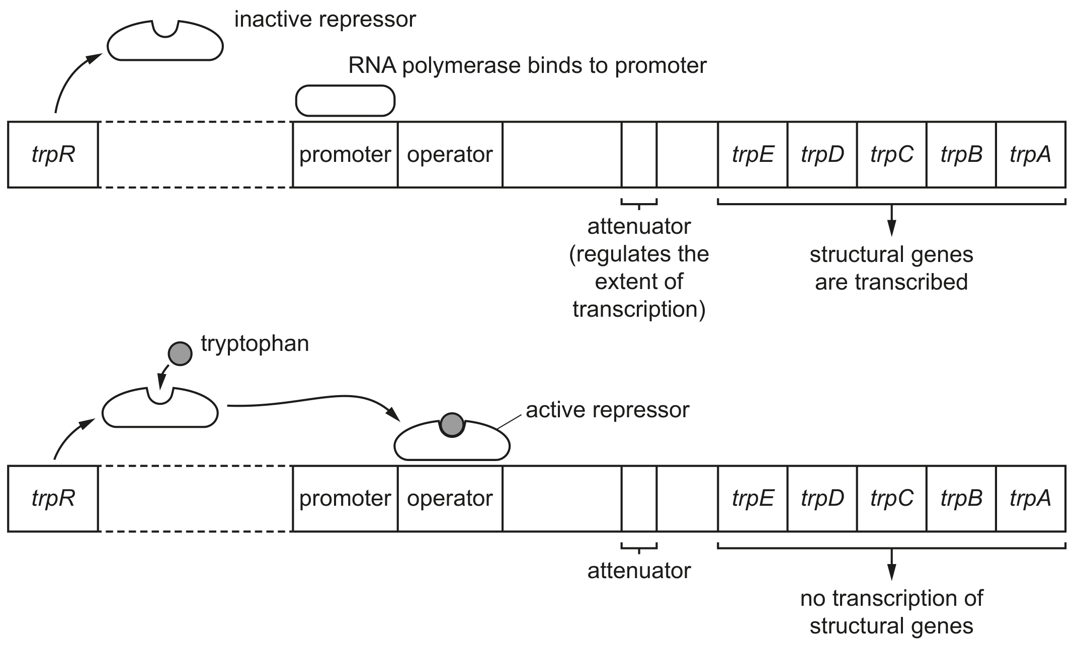 Fig. 6.1