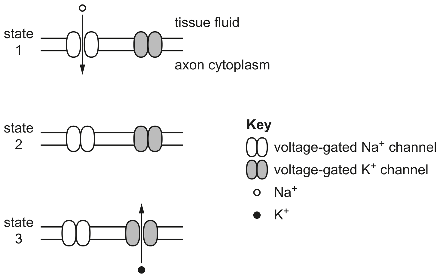 Fig. 9.1