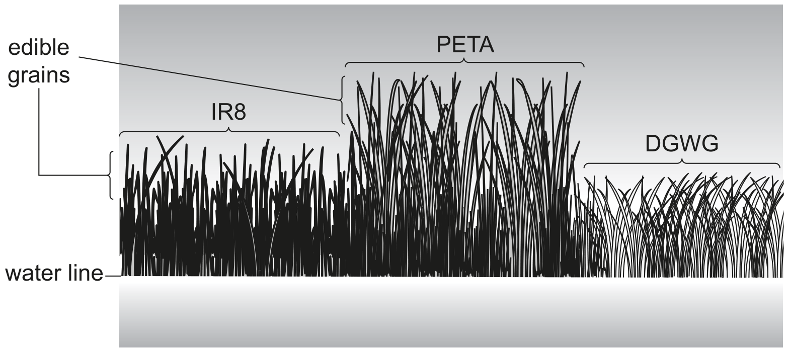 Fig. 6.1