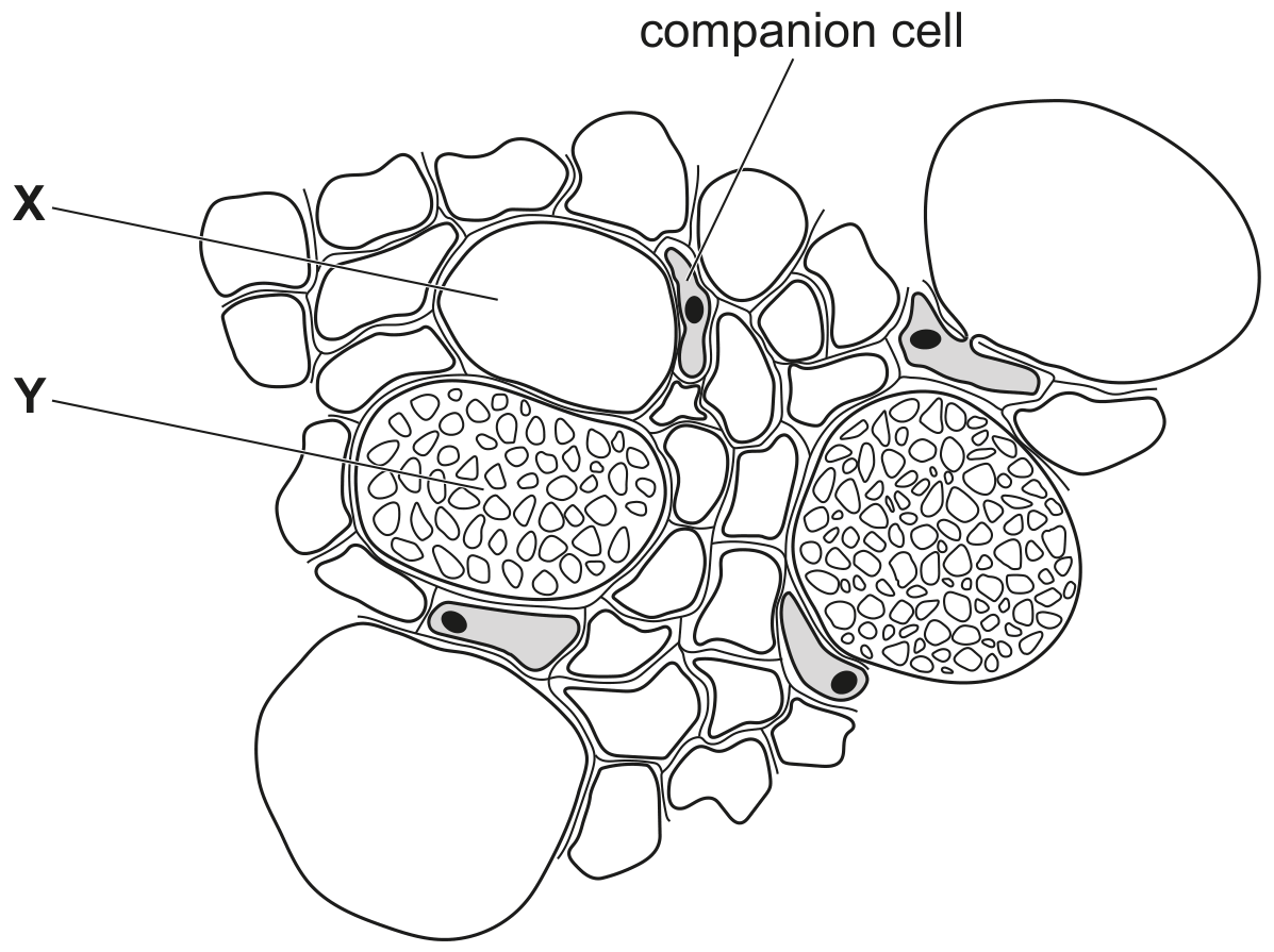 Fig. 3.1