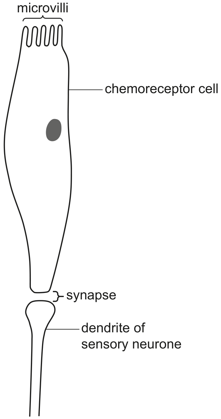 Fig. 7.1