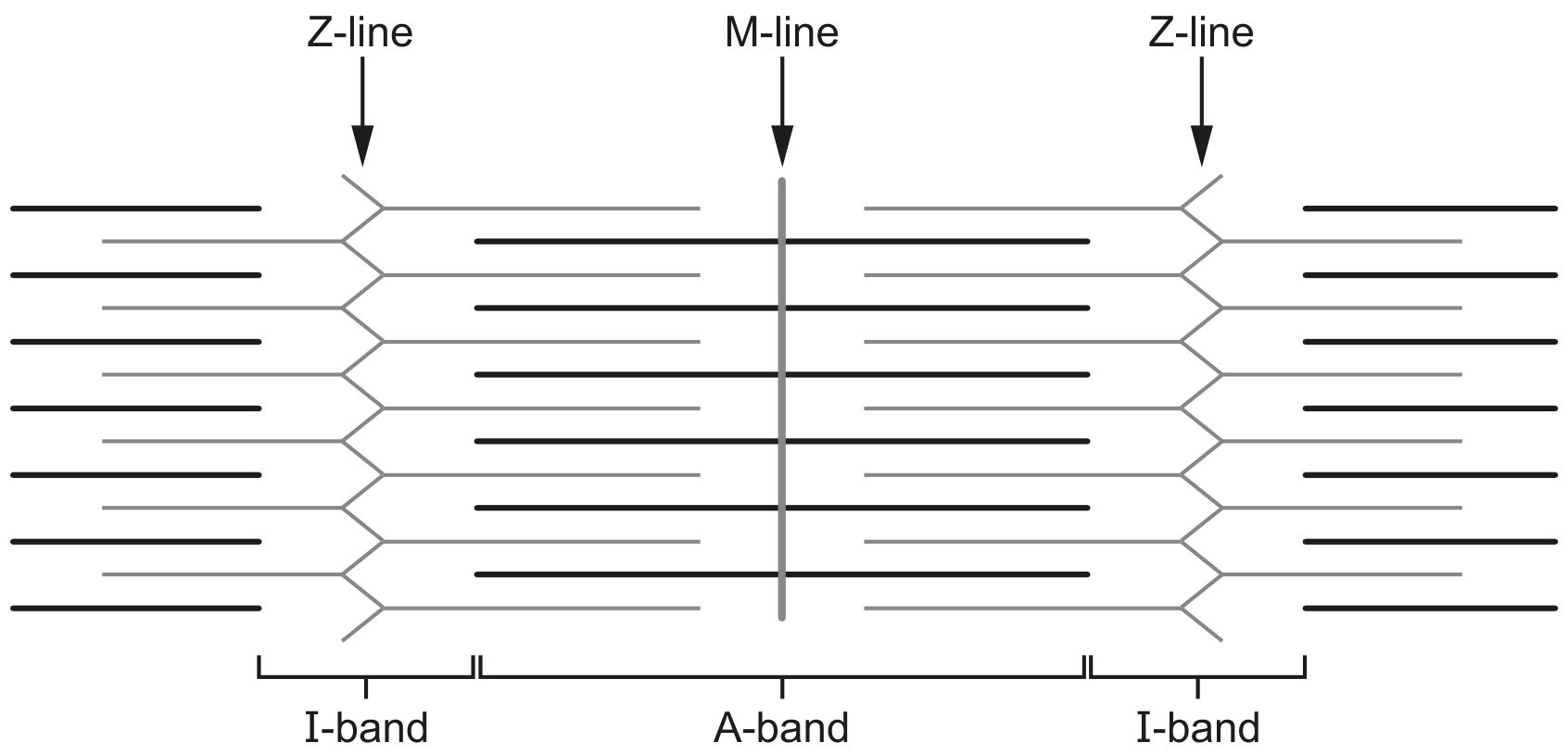 Fig. 9.1
