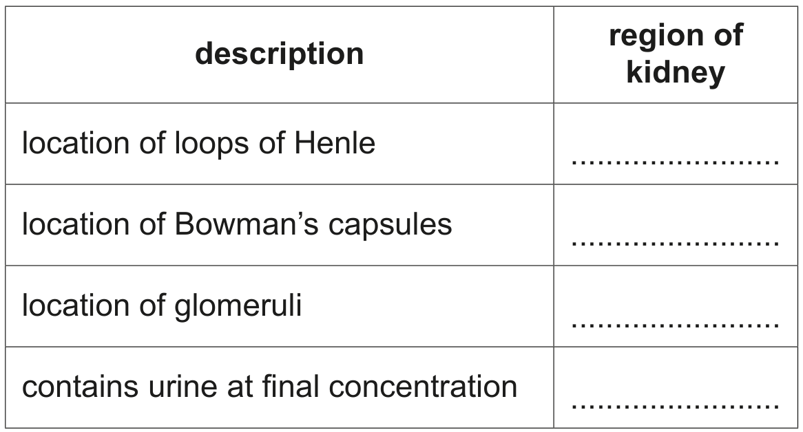Table 1.1