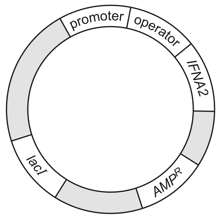 Fig. 2.1