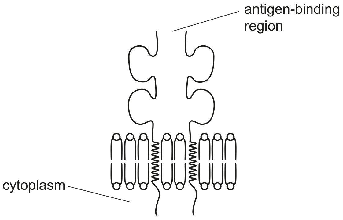 Fig. 3.3