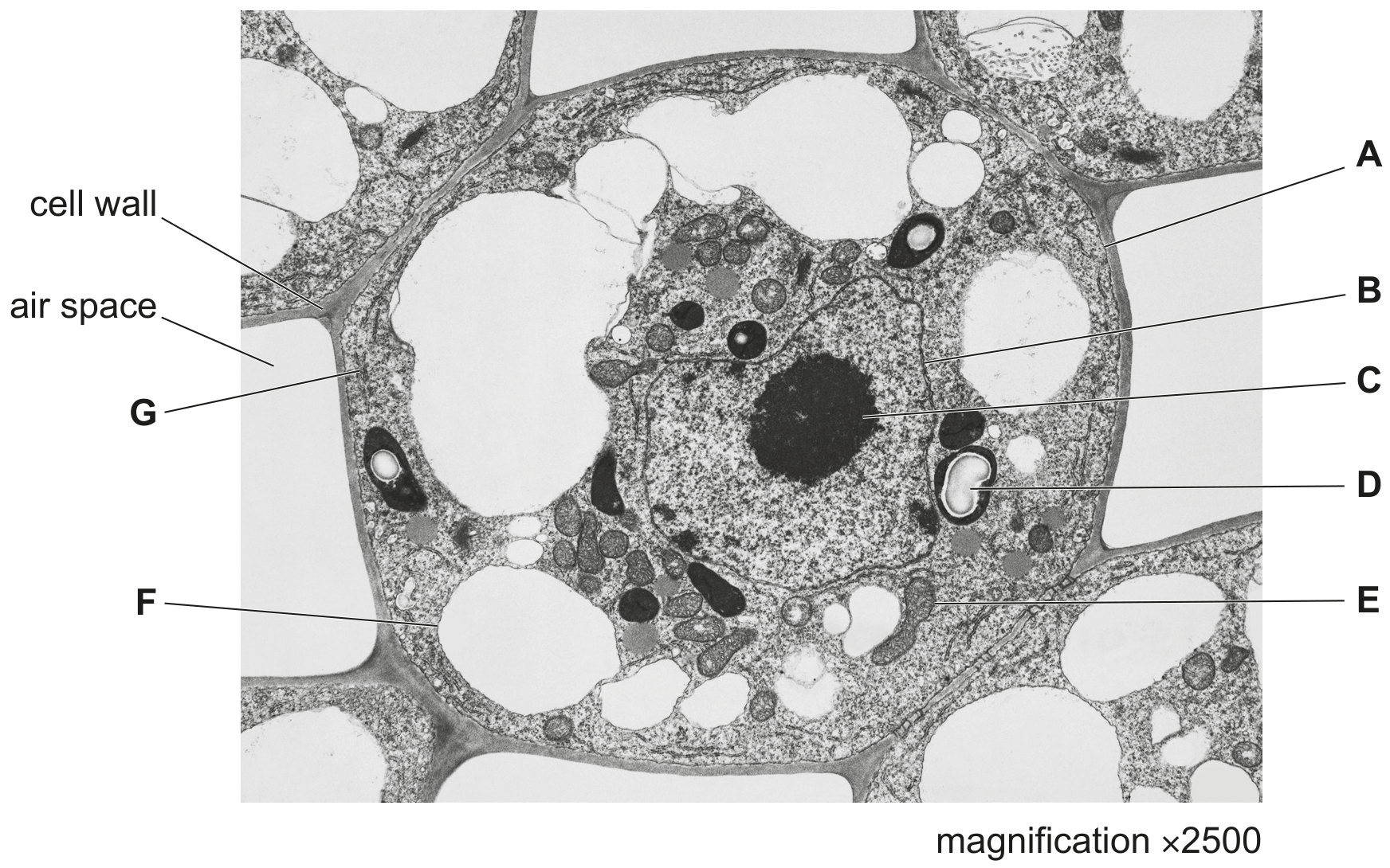 Fig. 1.1
