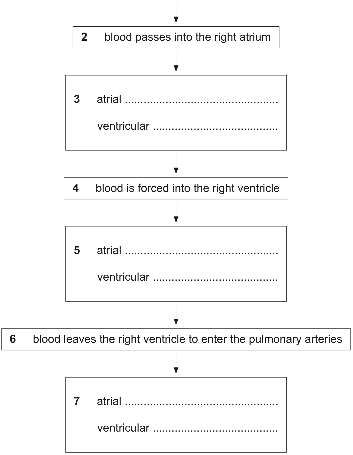 Fig. 1.1