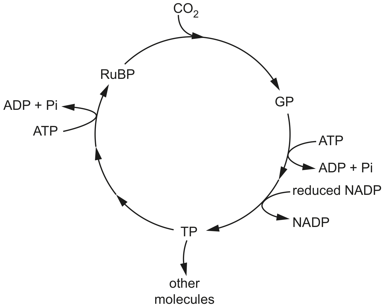 Fig. 8.2