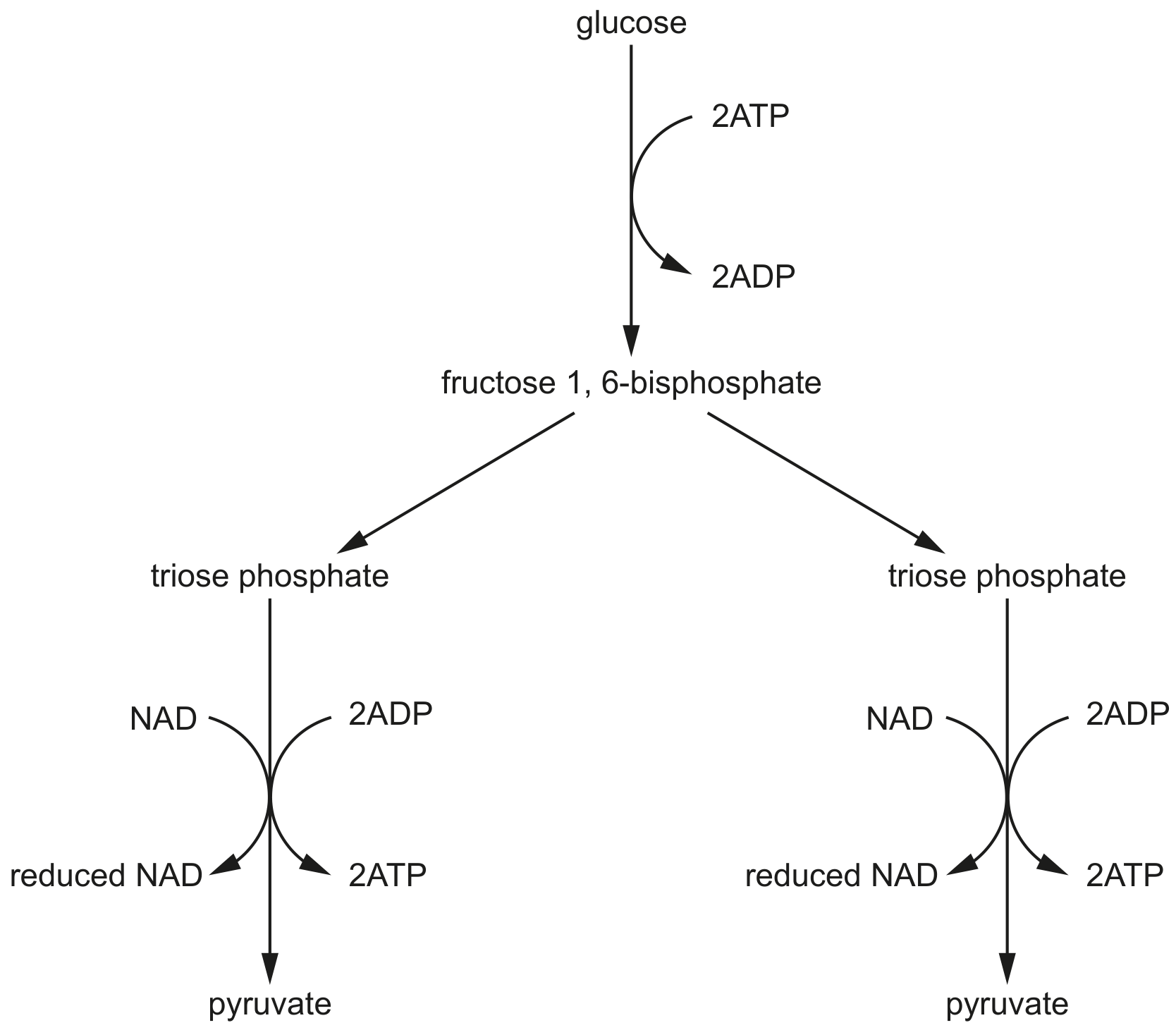 Fig. 1.1