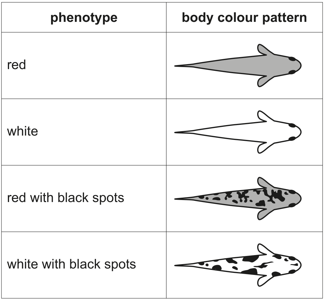 Table 5.1