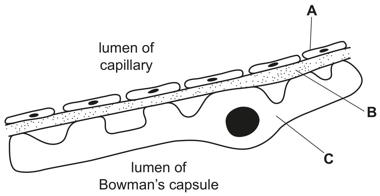 Fig. 6.1